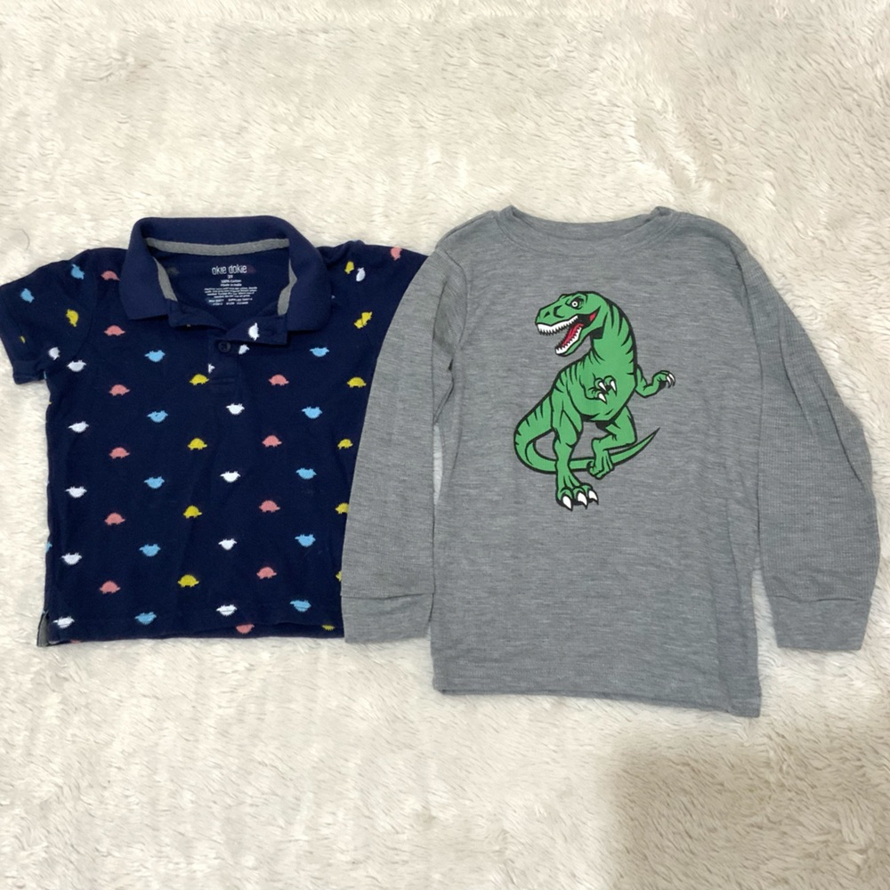 Dinosaur shirt bundle